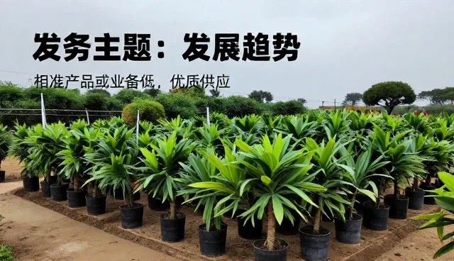 企业选型中的农业咨询关键点解析